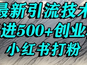 小红书精准引流创业粉,前辈求带孩子走投无路了,单人操作日引500+精准创业粉