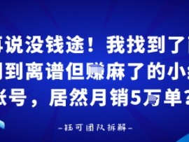 谁再说没钱途!我找到了两个冷门到离谱但賺麻了的小红书账号,居然月销5W单?
