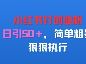 小红书打创业粉,日引50+,简单粗暴,狠狠执行