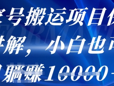 百家号搬运项目保姆级讲解，操作简单，小白也可以月入1w+